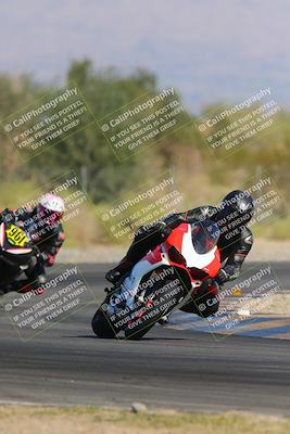 media/Nov-11-2023-SoCal Trackdays (Sat) [[efd63766ff]]/Turn 2 Set 2 (1145am)/